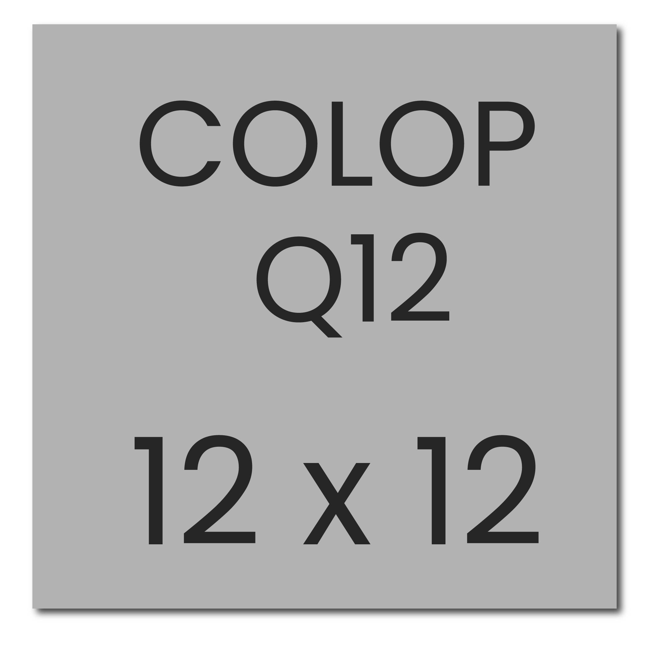 Colop Printer Q12