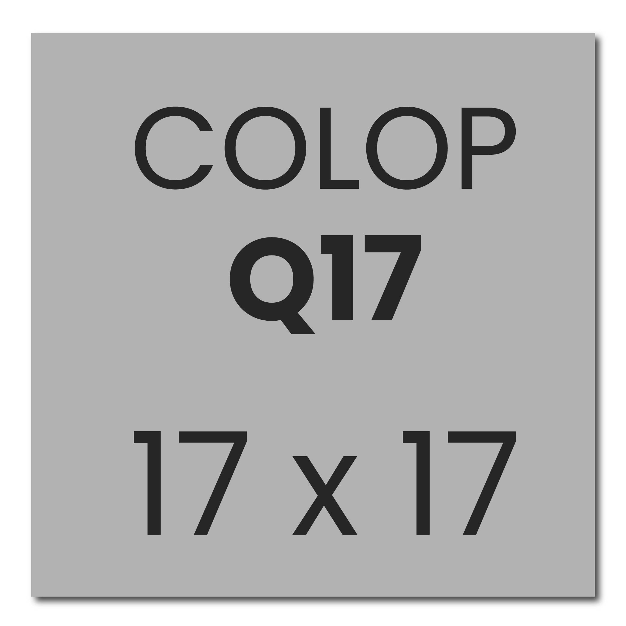 Colop Printer Q17 stempelplaatje | Bedrijfsstempels.nl