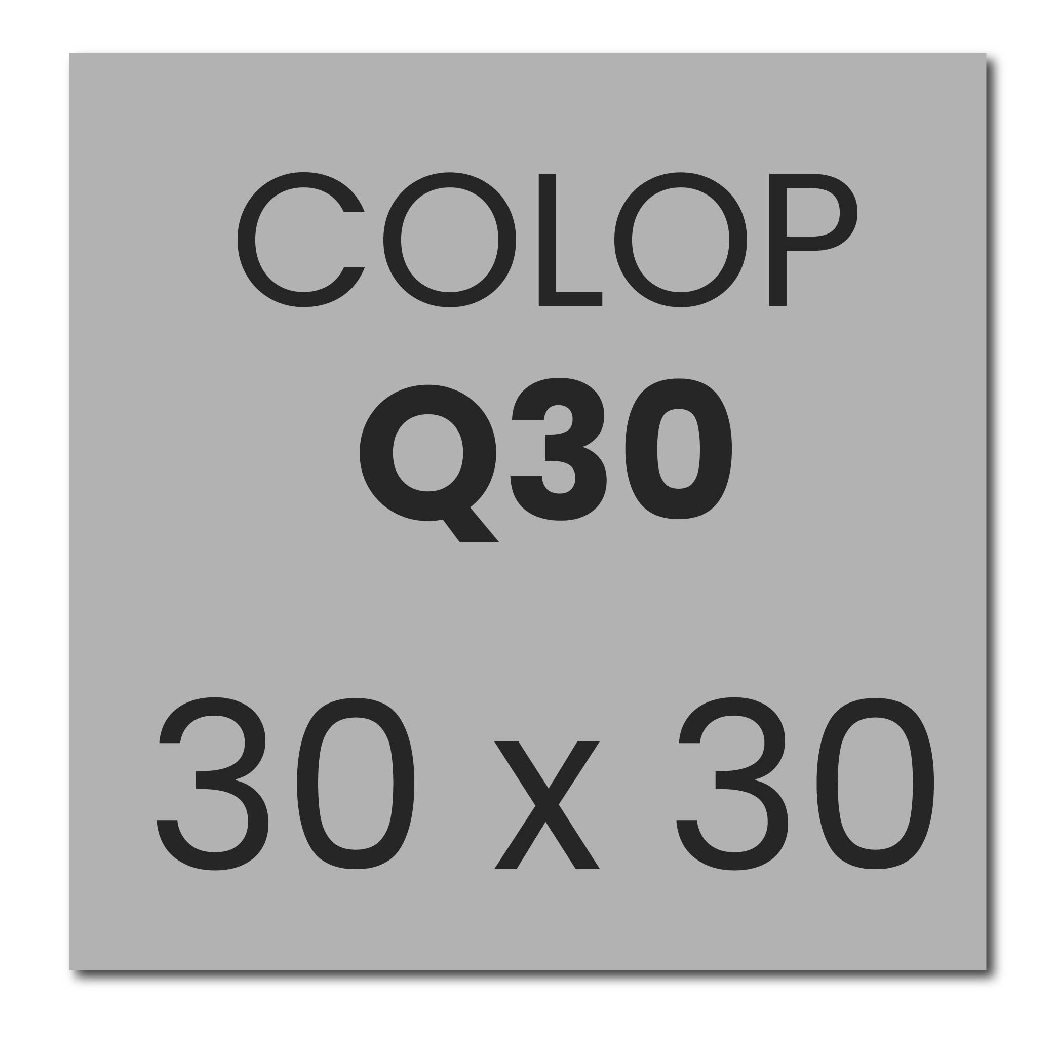 Colop Printer Q30