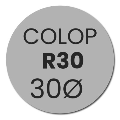 Tekstplaatje Colop Pocket Stamp R30